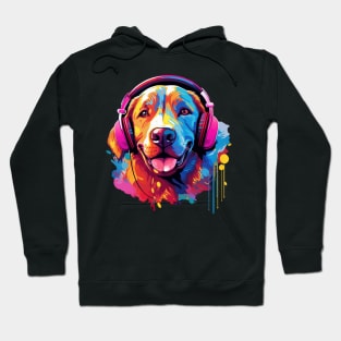 Colorful Labrador with Headphones Cute Music Design Hoodie